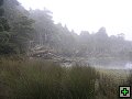 thn_NZ leden-unor 2006 297.jpg